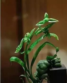 珍珠|慈禧的葬礼，看傻了