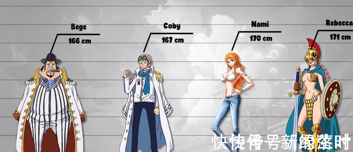 海贼团|海贼王人物资料公示1乔巴已经很可爱了,竟然还有mini公主