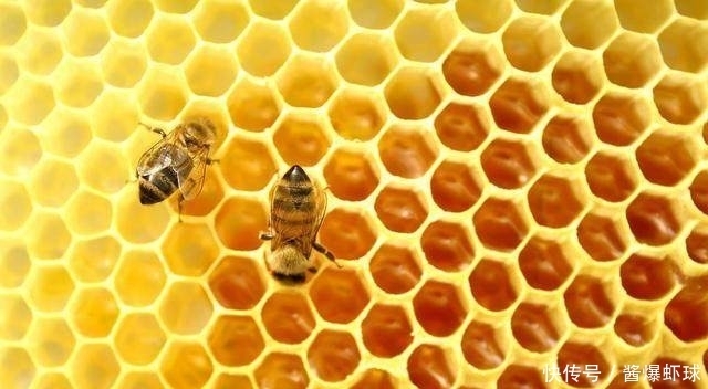 提醒:头上有螨虫的人,可能会有4种表现,别忽视了!