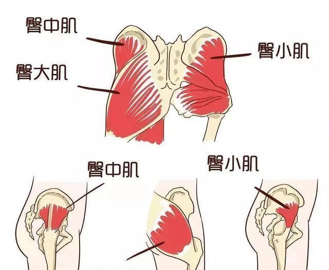 身材|女子健美冠军，用身材向你证明，女性健身只会让你更好看