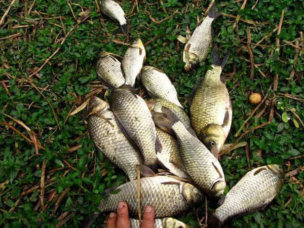 刮风|钓鱼和刮风有什么联系能回答这三个问题,说明你钓鱼有些年头了