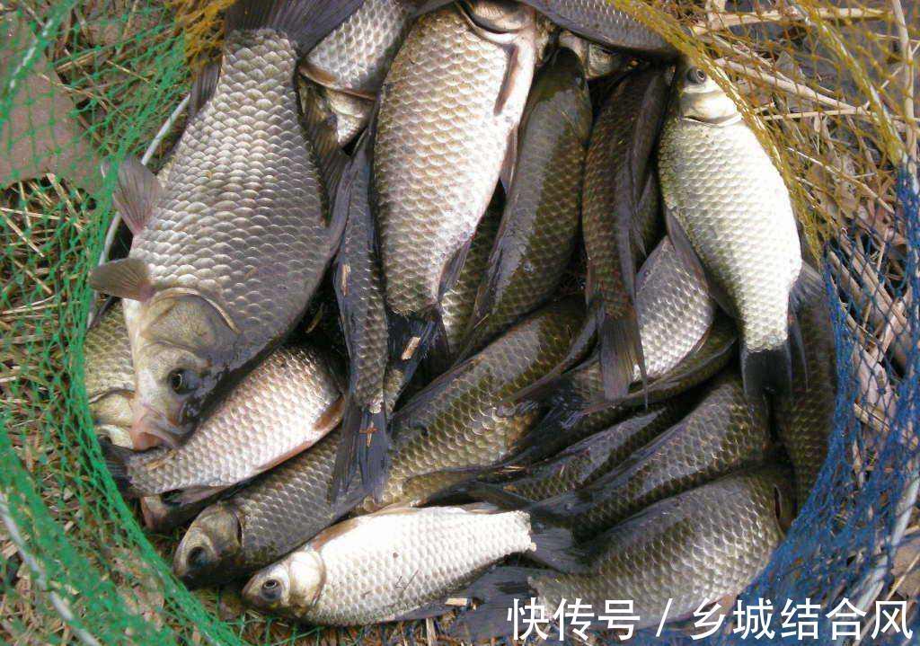 为什么总是钓不到鱼，因为你根本没弄明白钓鱼的三要素