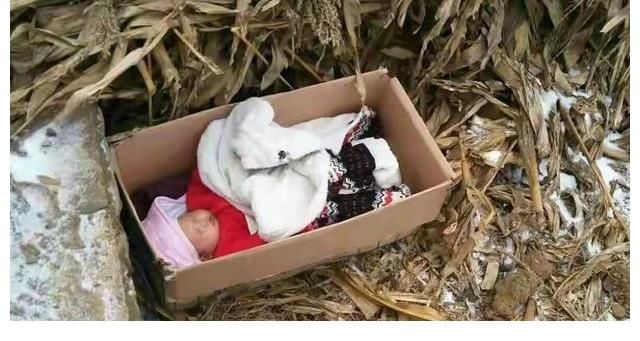 湖北工人拾到一棄嬰，扛煤氣罐供孩子讀博，24年后親生父母找上門