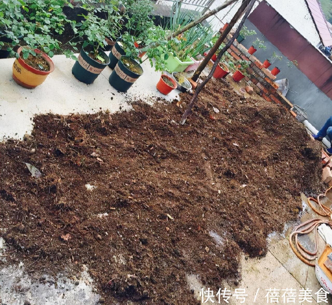 养花的“旧土”加点“废物”,又肥的流油,养花一级棒