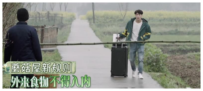 《向往5》不如叫“向往的极挑”,黄磊变老狐狸,张艺兴继续造梗