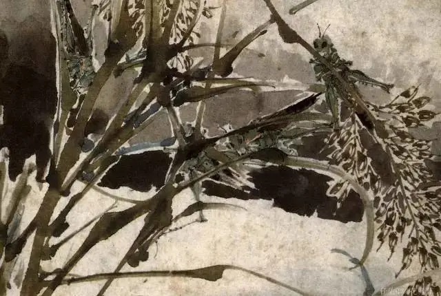蝈蝈$国画技法图典——草虫篇:蝗虫 蚂蚱 蝈蝈 螽斯 螳螂 蟋蟀