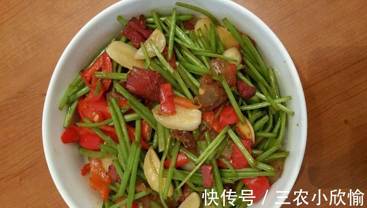 回家|长在水边的“艾草”，见到请摘一把回家，营养好，炒腊肉是一绝