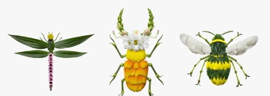 花卉&他拿花瓣、树叶随便一剪一贴就卖23万!网友:买过的人都说“值”