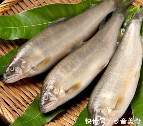 口味|寿命仅1年的西瓜口味的鱼，不用清内脏，曾是朝廷贡品！
