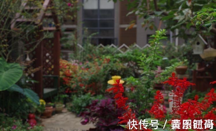 花园|荒废多年的80㎡小院,2年半时间打造成下沉式花园,太漂亮了!