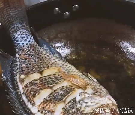 罗非鱼|唯一让中国吃货退却的鱼!营养比甲鱼高,全身是宝,只要4元一斤