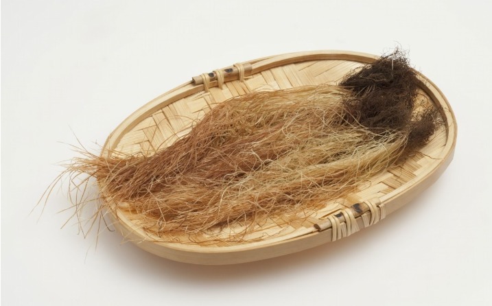 甲状腺|甲状腺结节越来越多中医建议多喝几种水，肿块消散结节缩小