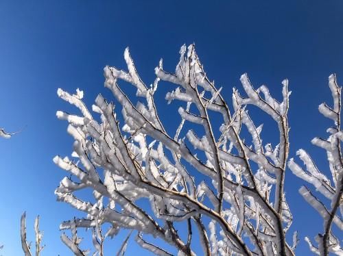老年|大年初四济南南部山区自驾游，在彩西路旁的劈山邂逅雾凇奇观