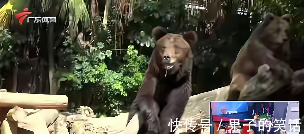 搞笑|全红婵调侃师兄睡觉像黑熊!师兄的反击挺搞笑,红姐赶紧不说话了