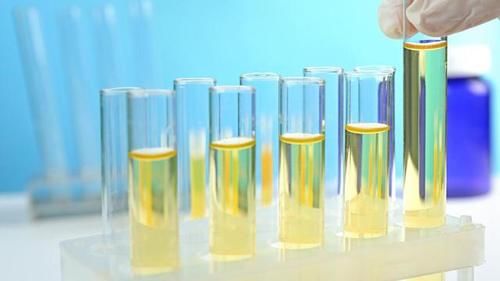 症状表现|尿毒症早期会有哪些症状？