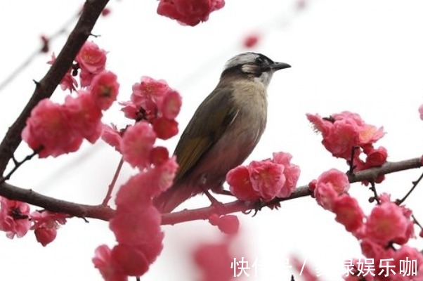 家庭$一个家庭出现这两种征兆,意味着要开始衰败了,真希望你能幸免!