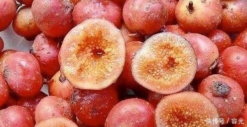 越来越|女人常吃此物,滋养卵巢,子宫越来越干净,腰不酸,浑身有劲