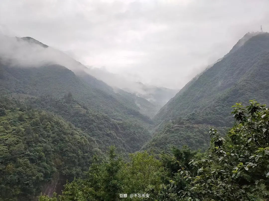 古诗|诗词丨给40首古诗加上配图,恍然大悟,惊为天人