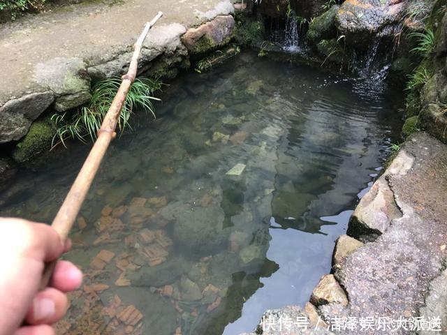 入侵失败的5个物种,我钓过4个,第一名现在钓不到了