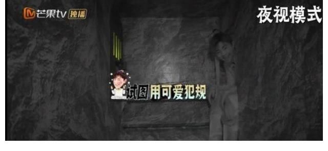 成员们|《密室大逃脱》邓伦怂到卖萌，黄明昊抓鸡有阴影，解密游戏太刺激