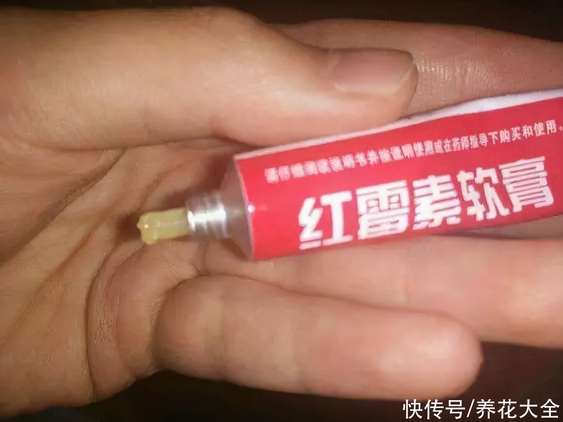 药片养花只知道阿司匹林？这些药养花效果也很好，过期别再扔了