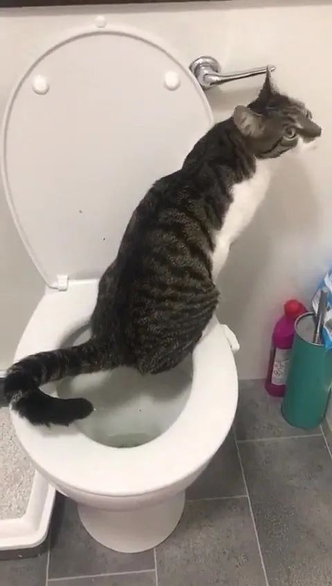 杀虫剂|夺命保温杯又上热搜，这些危险习惯一定要改掉啊！