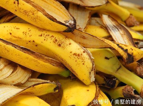 橘子皮|养花人惯用4种“宝贝”,盆里加一点,肥力足不烧根,花开爆满盆