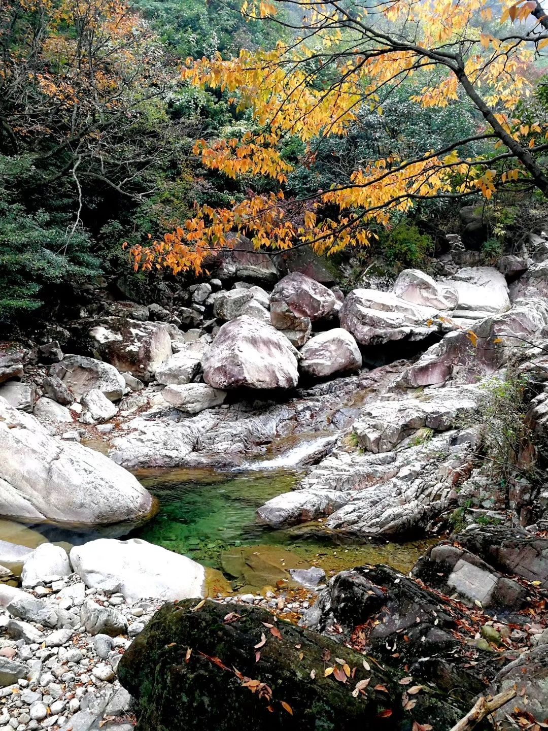 峡谷|#一汽-大众揽境#天目大峡谷