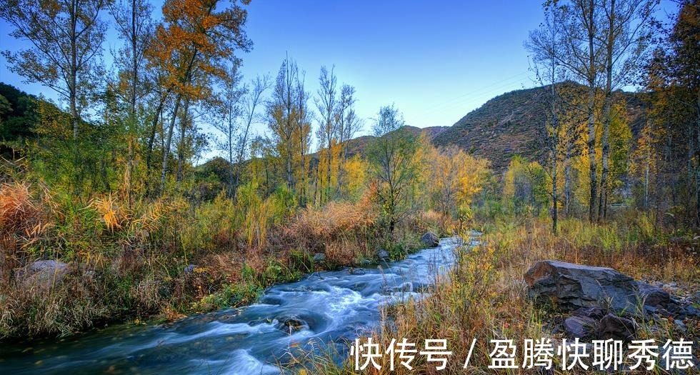 天蝎座|骨子里是“愣头青”的星座，对爱真诚，工作认真，有潜力或成大器