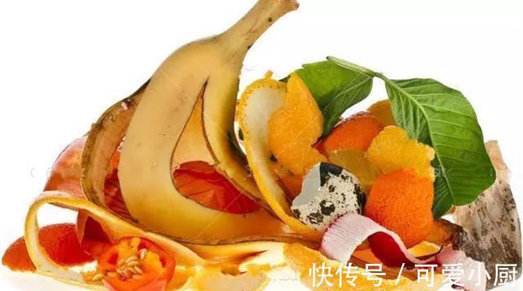 养花知道这6个小妙招,能省心不少