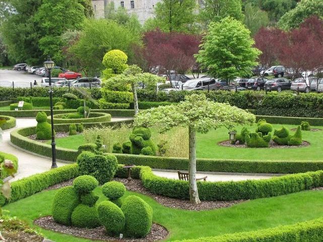 植物“整形”，花样百出