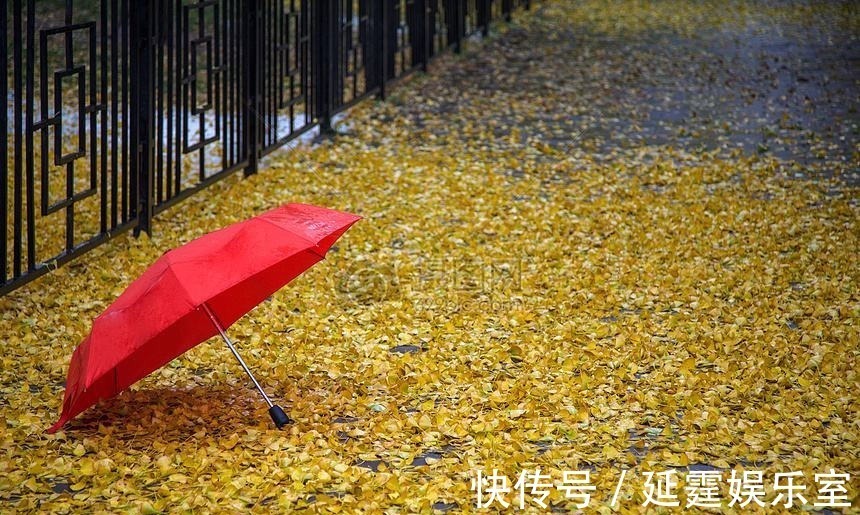 自由的人&有一句宋诗写“人生难得秋前雨”,你能读懂诗人的意思吗?