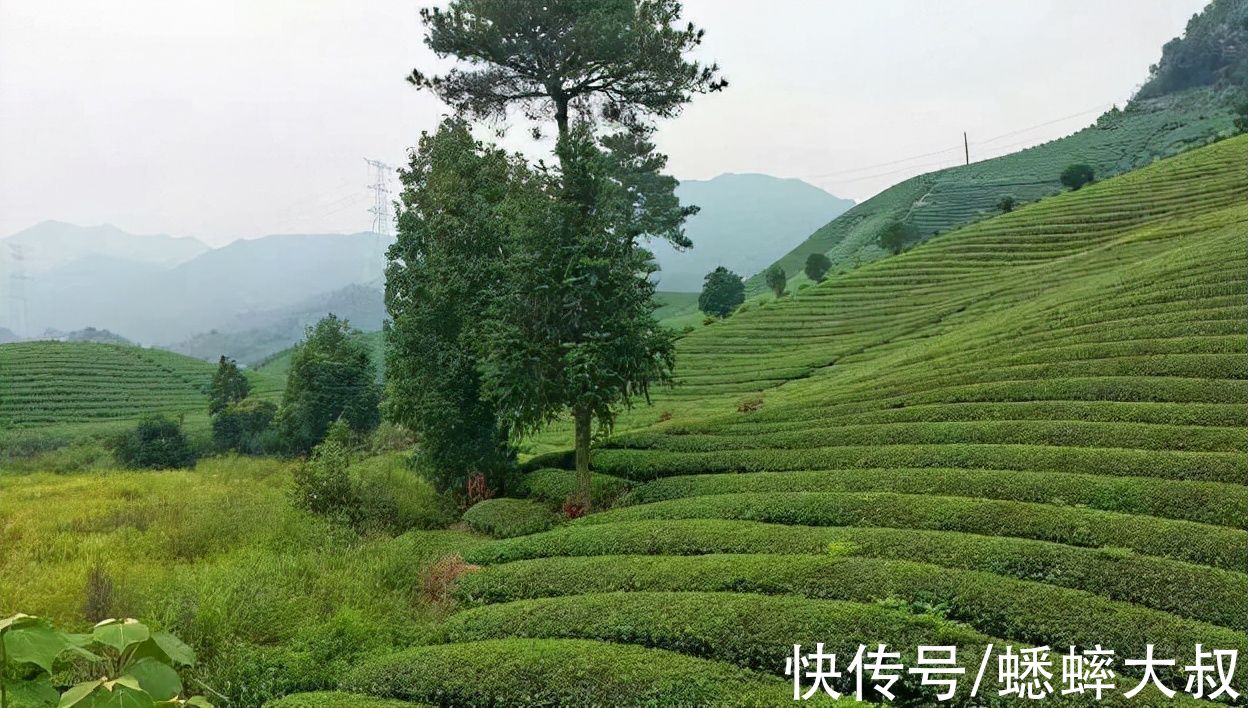 景点|意外了，距离杭州2H有个“小千岛湖”，有山有水有洞有古栈道