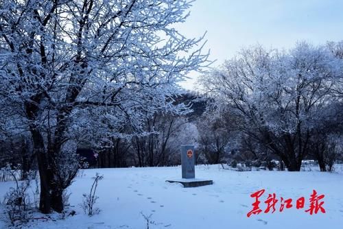 冰雪|沸腾冰雪季 乐游黑龙江｜来呼玛，感受别样冰雪之美！