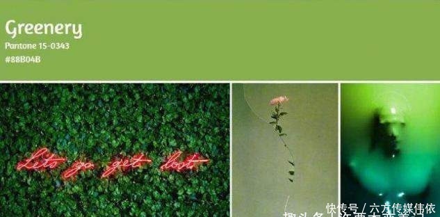 流行色|不管大衣还是羽绒服，女人少买黑色，这3种颜色更高级，洋气减龄