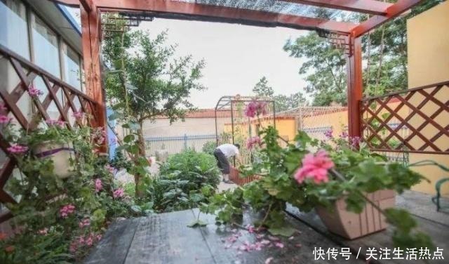 旧农舍改造成花园，一年四季花开不断，邻居看了羡慕的不得了！