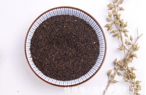 中药炮制学|给肚子“升阳气”的小方子！帮你不脾虚、不怕凉、不肠鸣