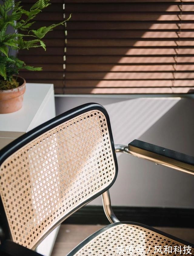 挂画|90后小姑娘的独居公寓,阳台打造成森林,一个人住也舒服