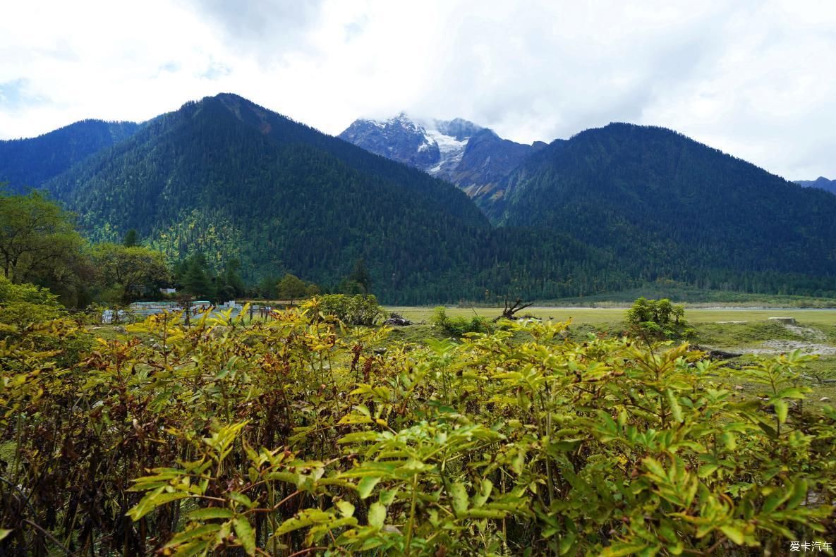 独自自驾游 欣赏最美的岗云杉林 体验环藏之旅的慢生活