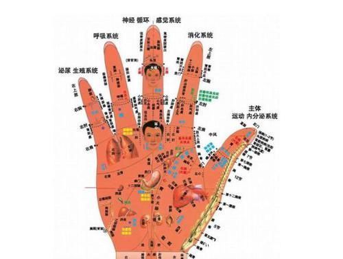 穴位|坚持手掌按摩,4个好处收入囊中,很多人都想象不到!