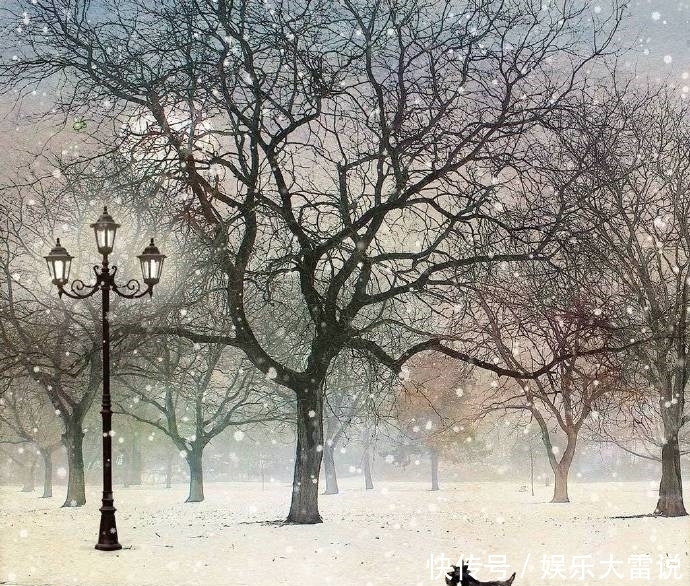 风格|画师笔下的雪中精灵,治愈系风格!