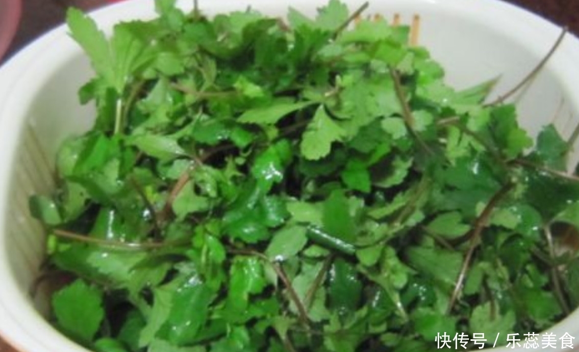 益母草|南方地区特有的一种野菜,效用居然比益母草高,潮汕人用它煮汤喝
