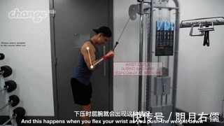 肱三头肌|手臂太细怎么练掌握这3点,“肱三头轰炸”练出麒麟臂