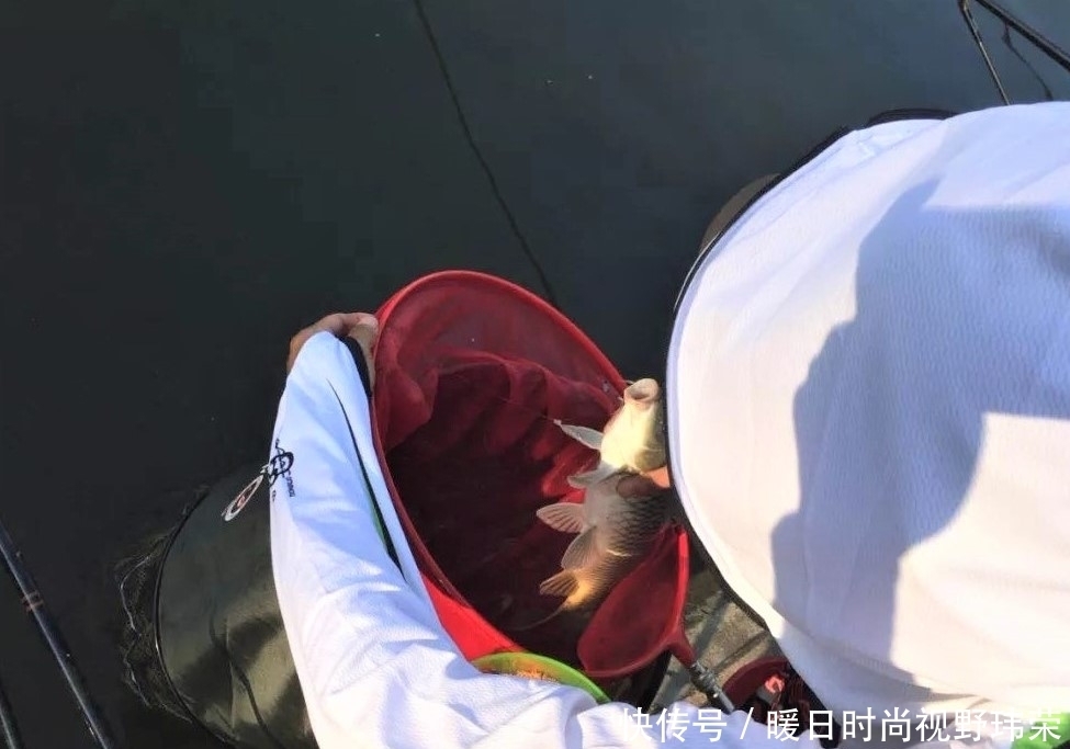 太空豆|这种钓法,不会钓鱼的人也会用,虽然基础,却不低级