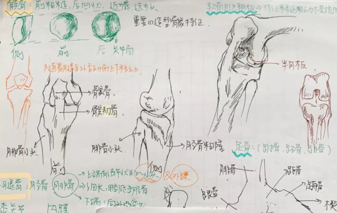 考研笔记被“疯抢”，这也太有才了！