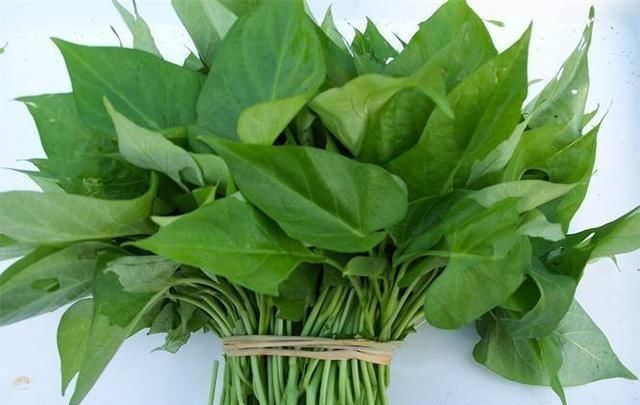 想長壽先排毒，春天多吃3種食物，排毒養顏，滋養肌膚，氣色更好