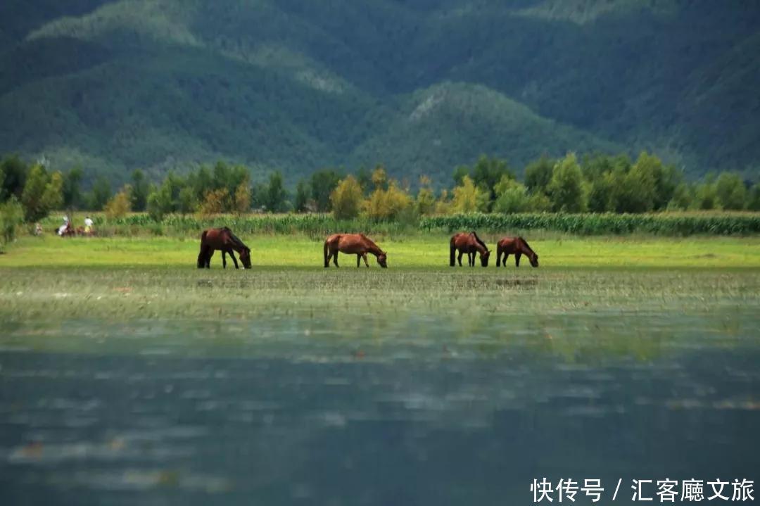 草原|这3个旅行地，今年夏天一定要去自驾一次！