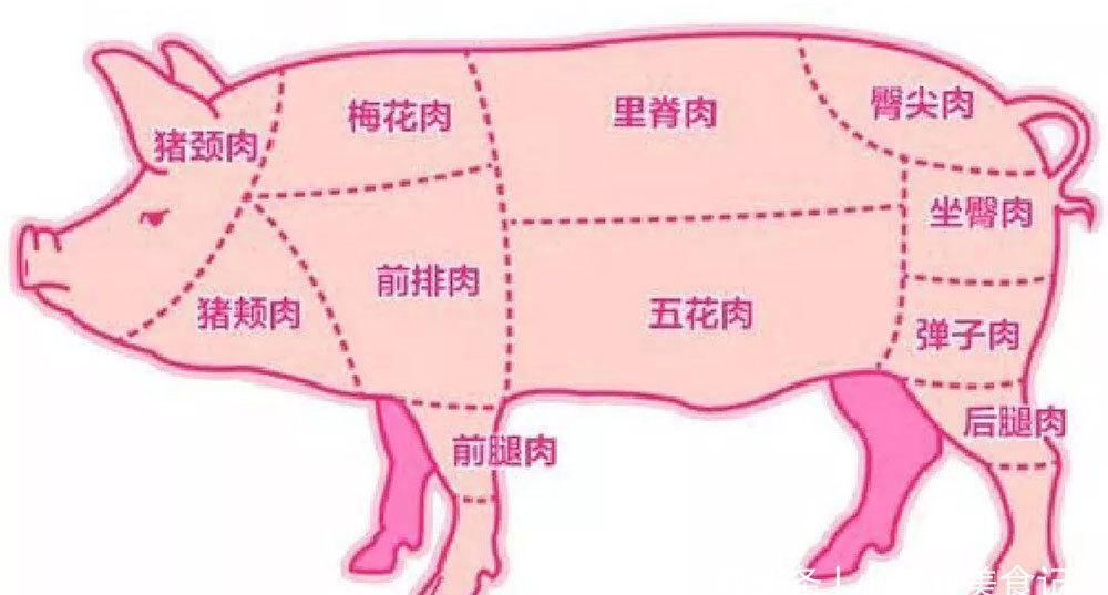 猪身上哪几个块肉最香，经过评比此6个部位更受欢迎，你全吃过吗