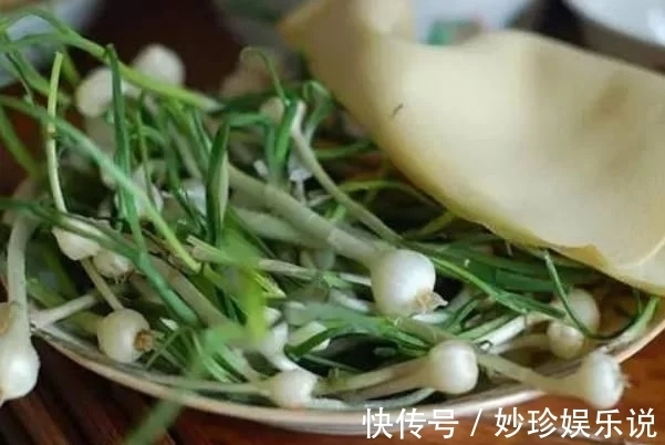 野菜|农村“似蒜非蒜”的野菜,实质上为名贵药材,不要傻傻的拿来吃了