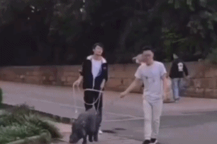 |大学里“最搞笑”的专业,充满乡土气息,在校园里追猪跑是常事